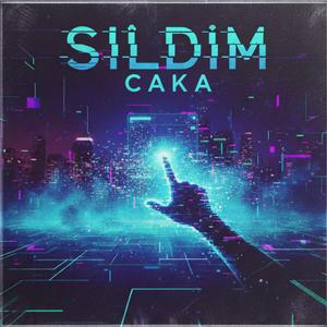 Sildim