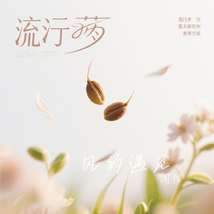 风的遇见