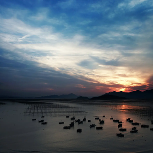 为热烤奶伤害的我