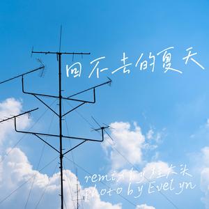 夏日入侵企画-回不去的夏天（桂大头 remix）