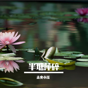 半塘萍碎