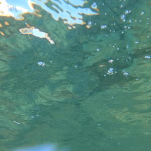 In The Dark (feat. Isotropik) (Yacht Rescue Remix)