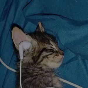 Tentang aku dan dia