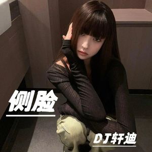 侧脸（轩迪V2版）