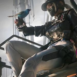 乌鲁鲁堵桥-三角洲行动