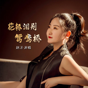 花轿泪别鸳鸯桥 (DJ默涵版)