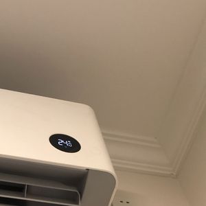 或许从来都不懂