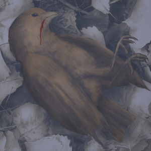 Под Сухим Небом Album