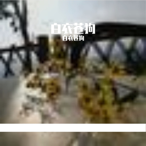 不经意小确幸的阳光日