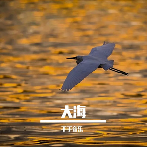 郑智化-水手（手手音乐 remix）