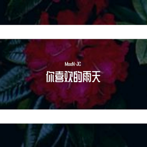黑车司机-你喜欢的雨天（MooN-JC remix）
