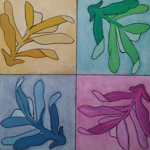 Estalagmitas y Estalactitas