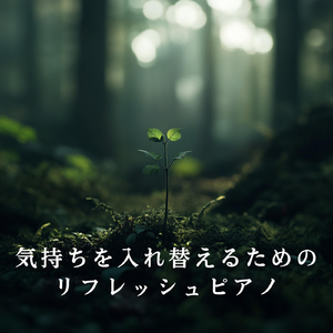 Shimmering Peaceful Moments