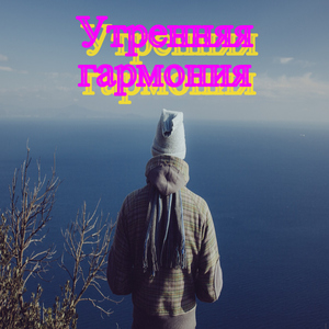 Летняя ночь