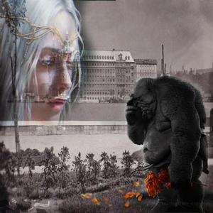 Çok Kitap Okumak Elf Aşık Olmak