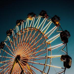 Elephant Dung on Canvas