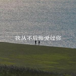 我从不后悔爱过你