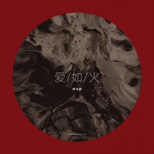 那艺娜 - 爱如火（小博 SE7EN Bootleg）