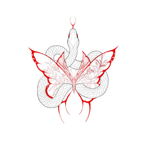 我爱上了一个上海姑娘