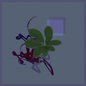 Tuu (Original Mix)