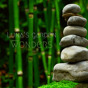 Wonders