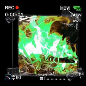 流动的芒绿血管