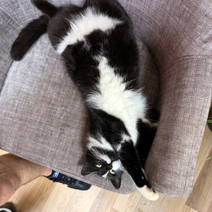 Terle Karışık Yağmurlu