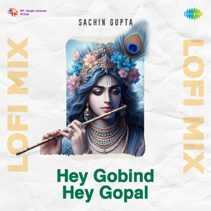 Hey Gobind Hey Gopal Lofi Mix