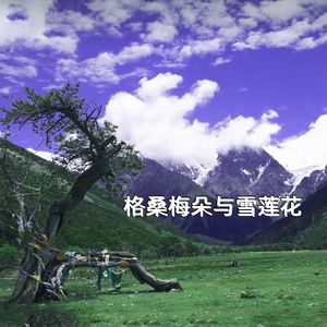 格桑梅朵与雪莲花 (伴奏)