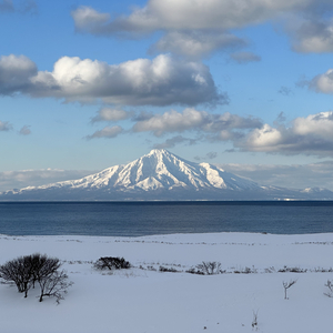 欢颜-爱尔兰小精灵舞曲（卡皮巴拉 remix）