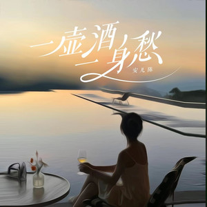 一壶酒一身愁 (广场舞版)