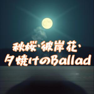 すすきと帰り道のFade