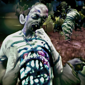 You Wrote The Book, I'll Do The Time