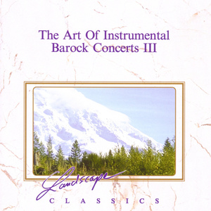 Konzert für Violine und Orchester, D-moll: II. Grave