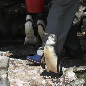 เหนื่อยนักก็วาง