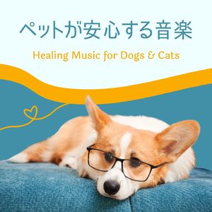 お留守番ＢＧＭ