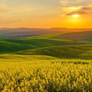 这是我们的宿命