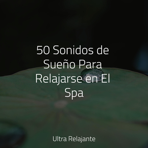 Meditación Relajante
