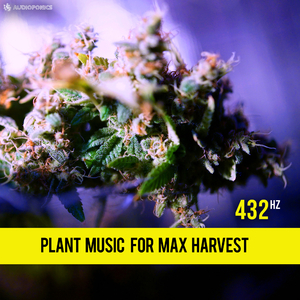 Lawn Care Audoponics