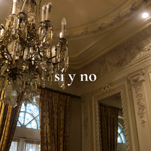 sí y no