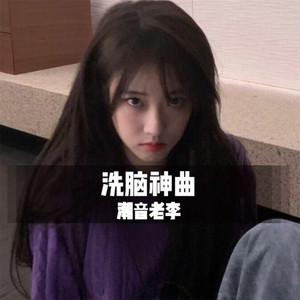 洗脑神曲(DJ版)