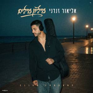 מיליון מילים