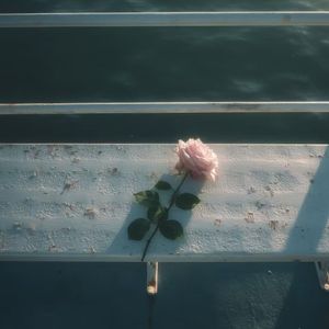 【FREE】catching” Jerk Drill Type Beat