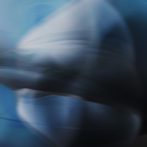 きれいごと (acoustic ver.)