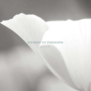 真実の愛 (Piano & Synthesizer)