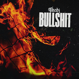 Bullshit