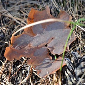 Worried (Original Mix)