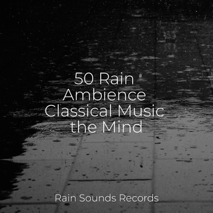 Midnight Melodies Echoing