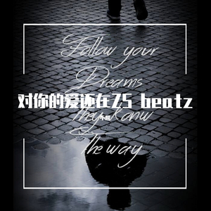 对你的爱还在ZS beatz