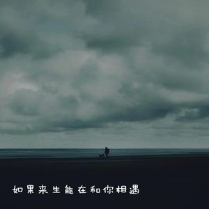 如果来生能和你相遇